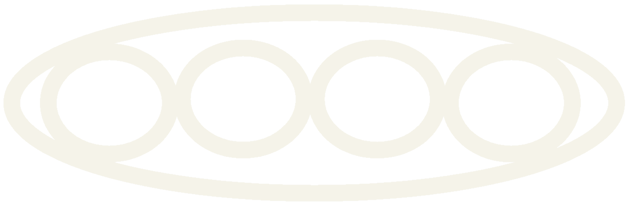 4Psys Logo
